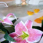 Hotel & 4*